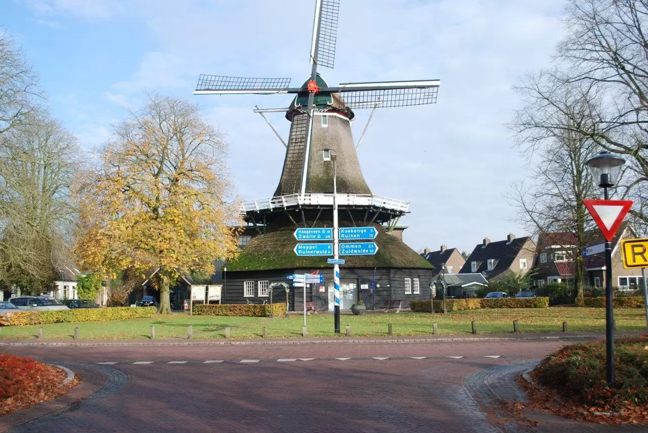 Verhuisbedrijf de Wijk Removers